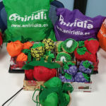 Bolsas plegables con formas de frutas: naranjas, piñas, kiwis, fresas, tomates, peras, racimos de uvas. Logo de aniridia estampado en blanco